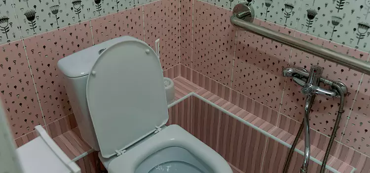 Meeting Diverse Needs With Accessible Restroom Solutions in North Richland Hills, TX